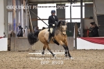 BPP_8919