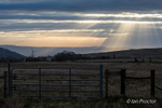 Sunburst over Belfast Hills