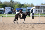 SBM_07838