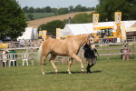 SBM_09238