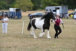 WJ6_5363