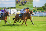 160725-Race 6-Bellarchi-9426