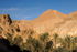 Chebika oasis Saharan Atlas mountains 2