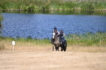 WJ6_8654