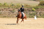 SBM_010684