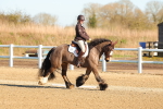 SBM_003465