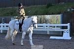 Dressage - CT Class 1 & 2 Intro 1 portfolio
