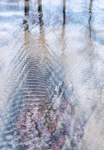 DECEMBER REFLECTIONS - LONG POINT BEACH