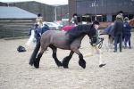 SBM_006183