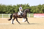 SBM_010226