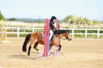 SBM_006421
