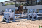 BPP_1304