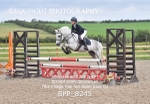 CLASS 13 SUN Pony BritiNovice / 0.80m Open portfolio