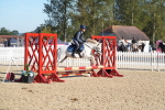 SBM_34387