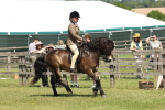 SBM_06820