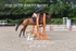 BPP_4079