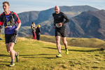 Sale Fell-182