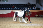 SBM_23238