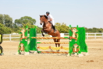 SBM_001856