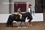 BPP_0281
