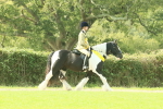 SBM_68996