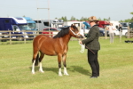 SBM_00454