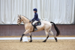 SBM_001561