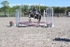 BPP_6909