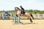SBM_005323