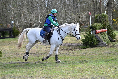 WJ7_0040
