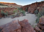 Trephina gorge East MacDonald range