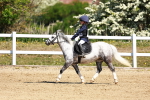 SBM_007272