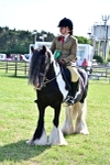 SBM_09431