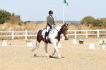 SBM_017448