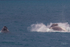 HB Calf Breach 10. 0A3A7791