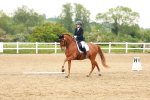 SBM_006309