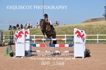 BPP_1568