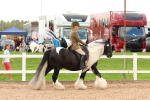SBM_15632