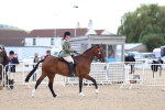 SBM_10097
