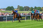 270526-Race 7-King Of The Jungle-3703