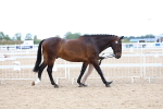 SBM_05680