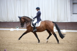 SBM_007930