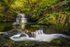 Sychryd LPOTY_09A1770 v2