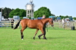SBM_00105
