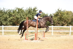 SBM_000650