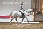 BPP_6653