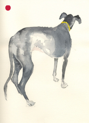 GDS Hound