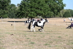 WJ6_7240