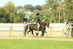 SBM_68067
