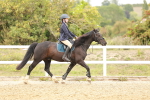 SBM_007403